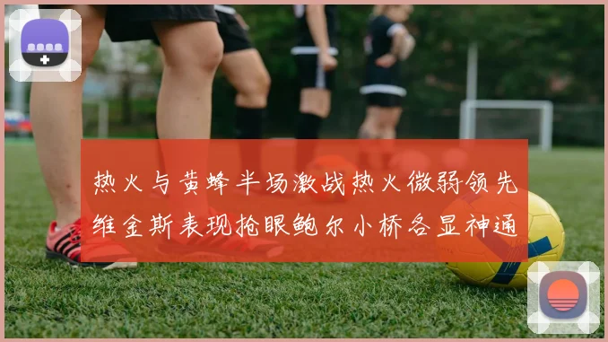 热火与黄蜂半场激战热火微弱领先维金斯表现抢眼鲍尔小桥各显神通