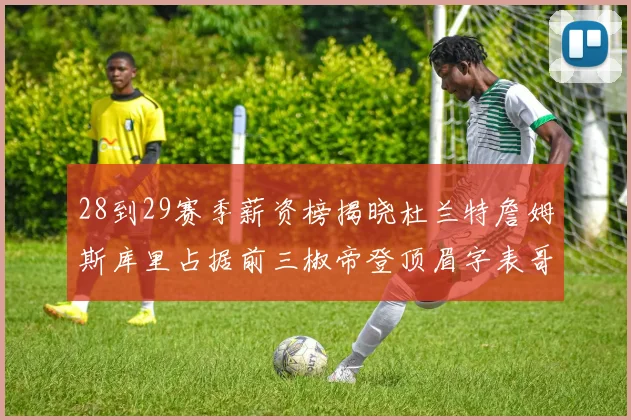 28到29赛季薪资榜揭晓杜兰特詹姆斯库里占据前三椒帝登顶眉字表哥布克跻身前十